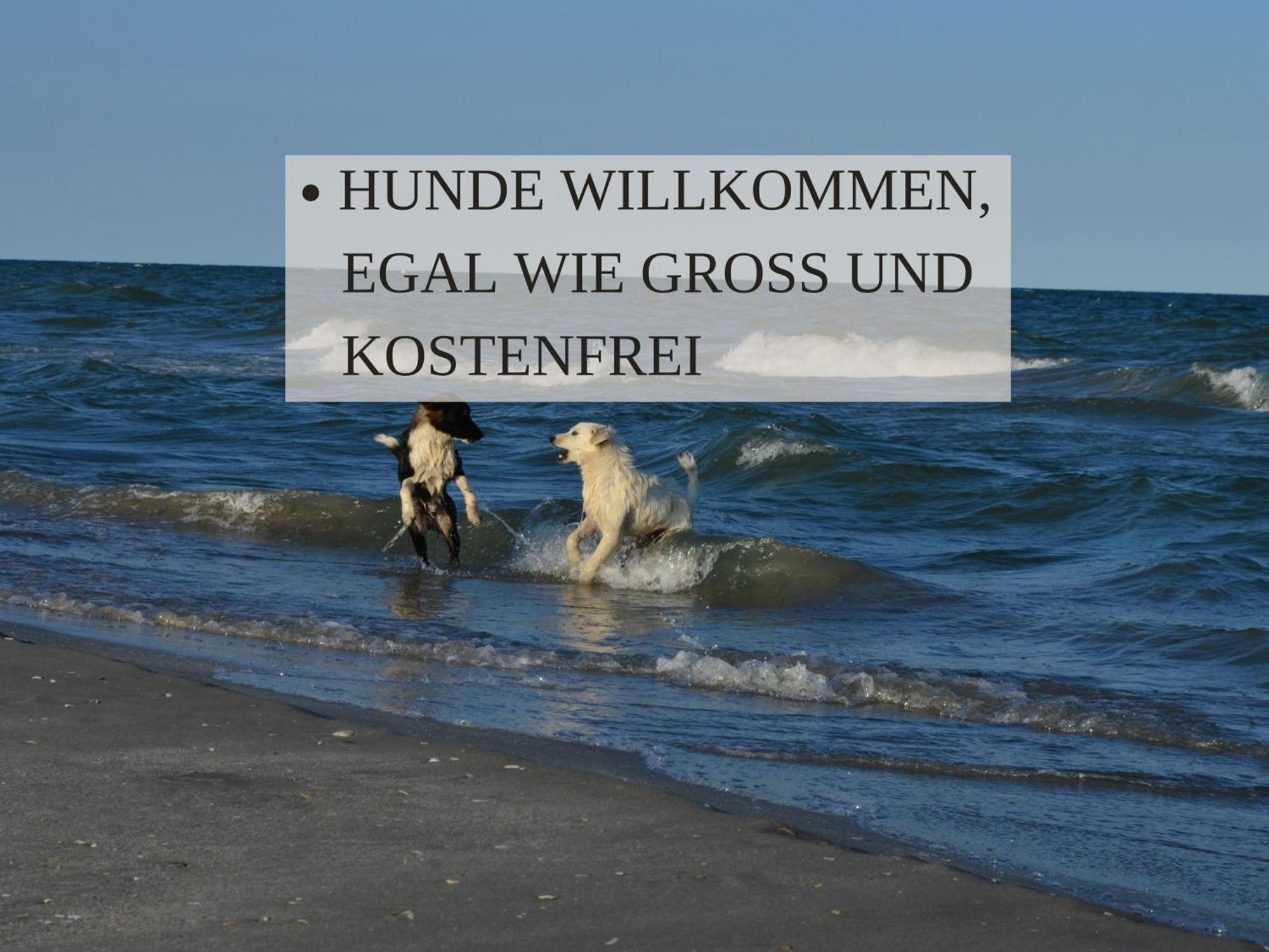 Haus Krabbe Zimmer Ohne Kueche, Fuer 1-2 Personen, Doppelbett, Zentral Gelegen Zwischen Cuxhaven Und Bremerhaven, Hunde Kostenfrei Willkommen, Kostenfreier Parkplatz 弗雷门 外观 照片
